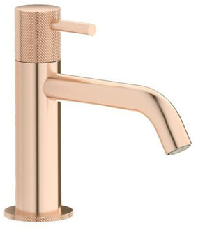 Plieger Roma 1-gats toiletkraan met vaste uitloop geborsteld rose goud ID458 BRUSHED ROSE Rose Goud Geborsteld (Roze)