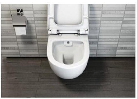 Plieger Zano wandcloset diepspoel Rim-ex m. bidetfunctie 36.5x54cm met verdekte bevestiging wit