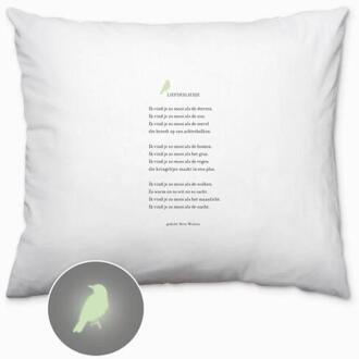 Plint kussensloop 'Liefdesliedje' Bette Westera -  Bette Westera (ISBN: 9789493352520)