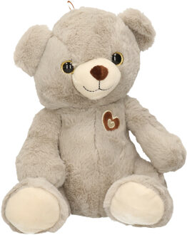 Pluche beer/teddybeer - grijs - 28 cm - speelgoed knuffeldier Teddybeer