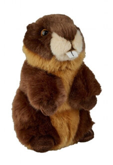 Pluche bever knuffel - bruin - 18 cm - Bevers knaagdieren knuffels