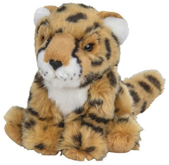 Pluche cheetah - jachtluipaard knuffel - 15 cm - wilde dieren knuffel