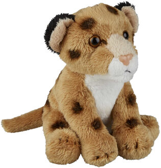 Pluche dierenknuffel - Luipaard - 15 cm - wilde dieren knuffel - speelgoed Multi