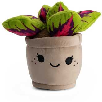 Pluche Gekleurde Plant