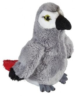 Pluche grijze roodstaartpapegaai knuffel - 15 cm - Papegaaien vogel knuffels