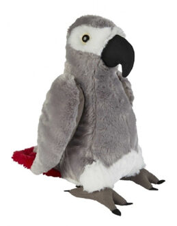 Pluche grijze roodstaartpapegaai knuffel - 30 cm - Papegaaien vogel knuffels Grijs