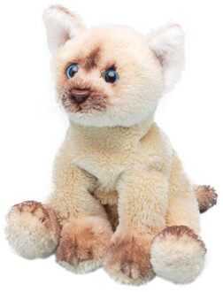 Pluche kat knuffel - Himalayan - 12 cm - poes - katten knuffeldieren Licht beige