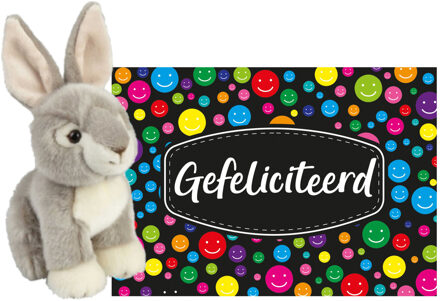 Pluche knuffel cadeau Konijn 18 cm met A5-size Gefeliciteerd wenskaart