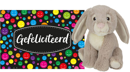 Pluche knuffel cadeau Konijn 19 cm met A5-size Gefeliciteerd wenskaart - Knuffeldier Beige