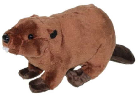 Pluche knuffel dier bever - bruin - 24 cm