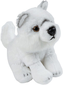 Pluche knuffel dieren Artische Wolf 15 cm - Knuffeldier Wit