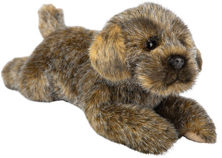 Pluche knuffel dieren Border Terrier hond 30 cm - Knuffel huisdieren Multikleur