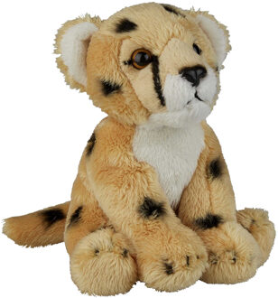 Pluche knuffel dieren Cheetah/Jachtluipaard 15 cm - Knuffeldier Multikleur