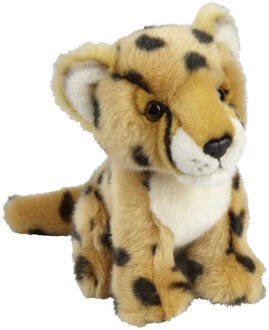 Pluche knuffel dieren Cheetah/Jachtluipaard 18 cm - Knuffeldier Multikleur