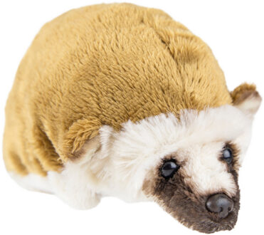 Pluche knuffel dieren egel 15 cm - Knuffeldier Multikleur