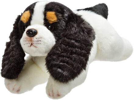 Pluche knuffel dieren King Charles Spaniel hond 30 cm - Knuffel huisdieren Multikleur