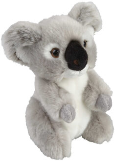 Pluche knuffel dieren Koala 18 cm Multi