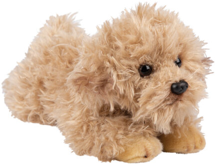 Pluche knuffel dieren Labradoodle hond 30 cm - Knuffel huisdieren Multikleur