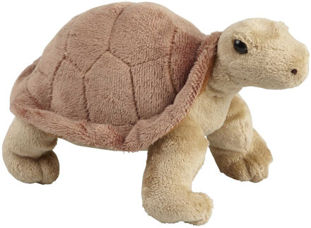 Pluche knuffel dieren Land Schildpad van 18 cm - Knuffeldier Multikleur