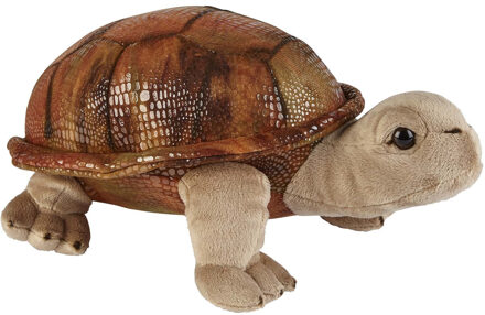 Pluche knuffel dieren Land Schildpad van 32 cm - Knuffeldier Multikleur