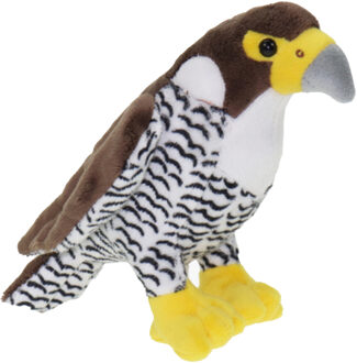 Pluche knuffel dieren Slechtvalk roofvogel van 18 cm - Vogel knuffels Multikleur