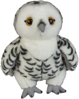 Pluche knuffel dieren Sneeuwuil vogel van 28 cm - Vogel knuffels Multikleur