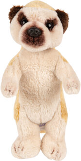 Pluche knuffel dieren stokstaartje 15 cm Multi