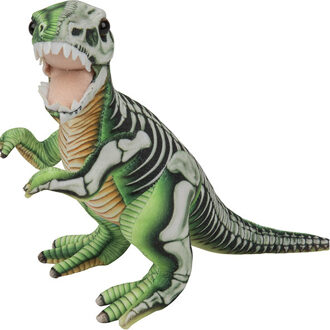 Pluche knuffel dinosaurus T-Rex van 30 cm - Knuffeldier Multikleur