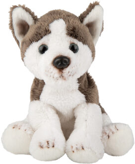 pluche knuffel hond Husky - 13 cm - grijs/wit - Honden knuffels Multi