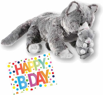 Pluche knuffel kat/poes grijs 32 cm met A5-size Happy Birthday wenskaart - Knuffel huisdieren