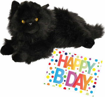 Pluche knuffel kat/poes - zwart - 30 cm - met A5-size Happy Birthday wenskaart