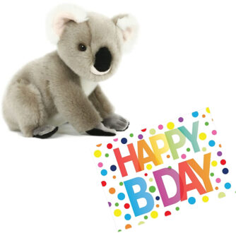 Pluche knuffel koala beer 20 cm met A5-size Happy Birthday wenskaart - Knuffeldier Grijs