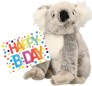 Pluche knuffel koala beer 25 cm met A5-size Happy Birthday wenskaart - Knuffeldier Multikleur