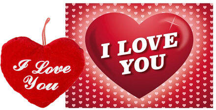 Pluche knuffel kussen rood I Love You 13 cm met Love/hartjes wenskaart