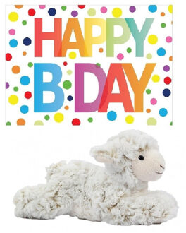 Pluche knuffel lammetje/schaap 22 cm met A5-size Happy Birthday wenskaart - Knuffel boederijdieren Wit