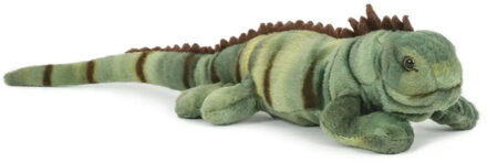 Pluche knuffel leguaan 36 cm - Knuffeldier Multikleur