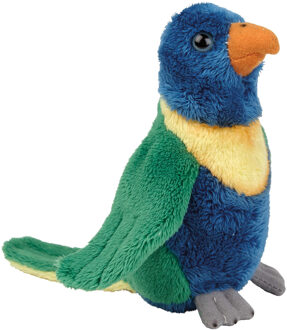 Pluche knuffel Lori parkiet - blauw/groen - tropische vogel knuffeldieren - 15 cm