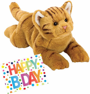 Pluche knuffel rode kat/poes 33 met A5-size Happy Birthday wenskaart
