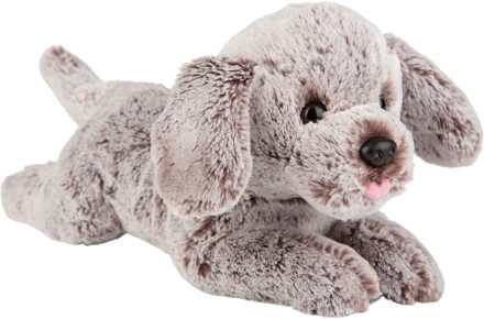 Pluche knuffeldier - Cockapoo hond - 30 cm - huisdieren