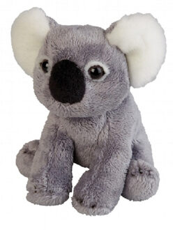Pluche koala beer dieren knuffel 15 cm Multi