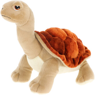 pluche Land schildpad knuffeldier - bruin/beige - lopend - 25 cm - Knuffeldier