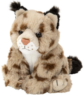 Pluche Lynx puppy knuffel van 14 cm Multi