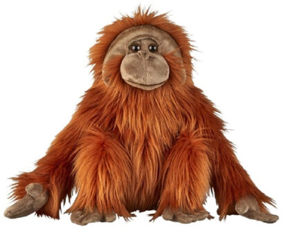 Pluche Orang Oetan knuffel - 50 cm - aap/apen - knuffeldier - jungle dieren - voor kinderen - spelen
