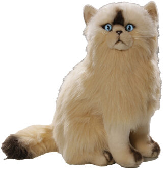 Pluche Perzische kat/poes - 35 cm - knuffel kat - kattenknuffel - knuffeldier Creme