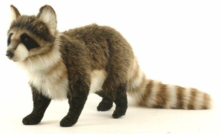 pluche wasbeer - knuffel - 45 cm - knuffeldier