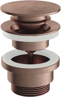 Plug Archie Clickplug Schroef Rond Geborsteld Koper PVD