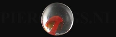 Plug paddestoel 10 mm 10 mm