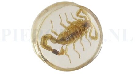 Plug schorpioen 22 mm 22 mm