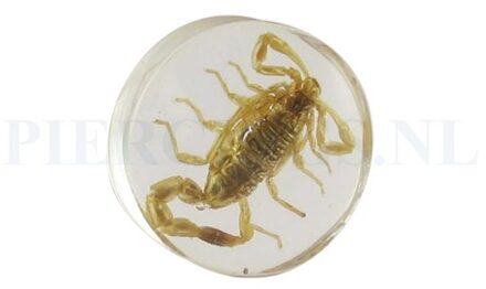 Plug schorpioen 23 mm 23 mm