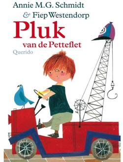 Pluk van de Petteflet - Boek Annie M.G. Schmidt (9045110954)